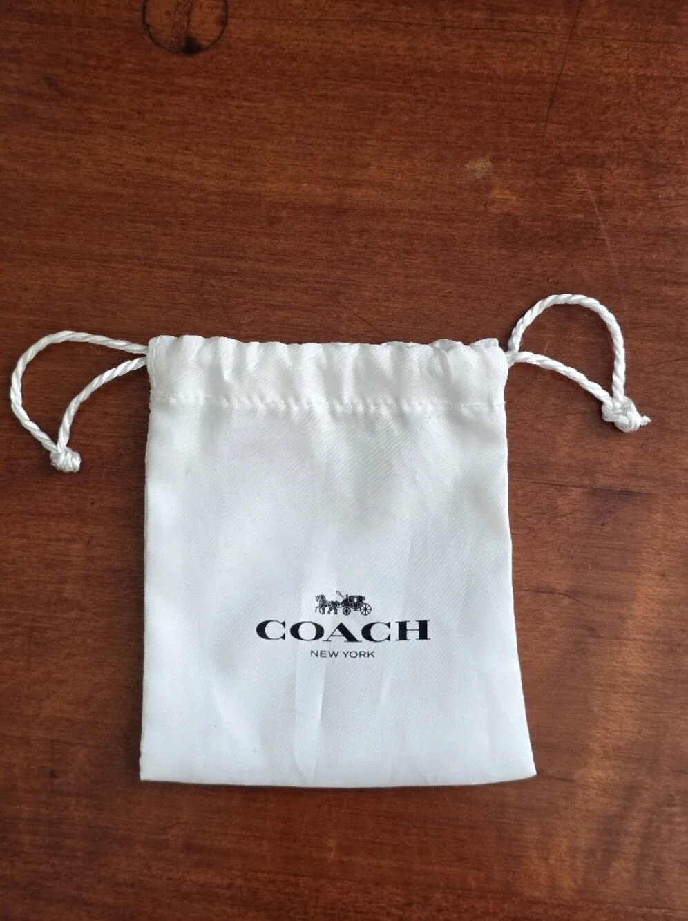 Coach 73192 Meadow Prairie Diamond Silk Scarf Mist Blue NWOT